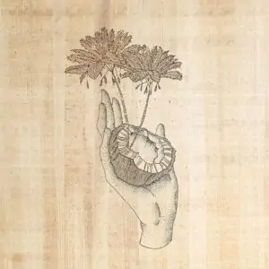 Coconut Island Limited Edition Print