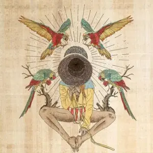 Guacamayo Print