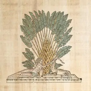 Zafira Palmira Print