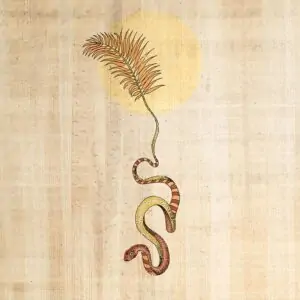 Snake Palm II Print