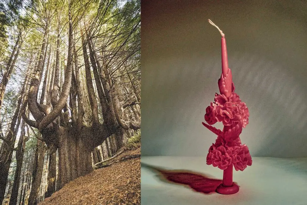 tree of life candelabra