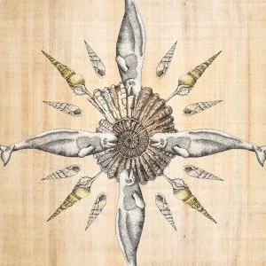 Beluga whale mandala