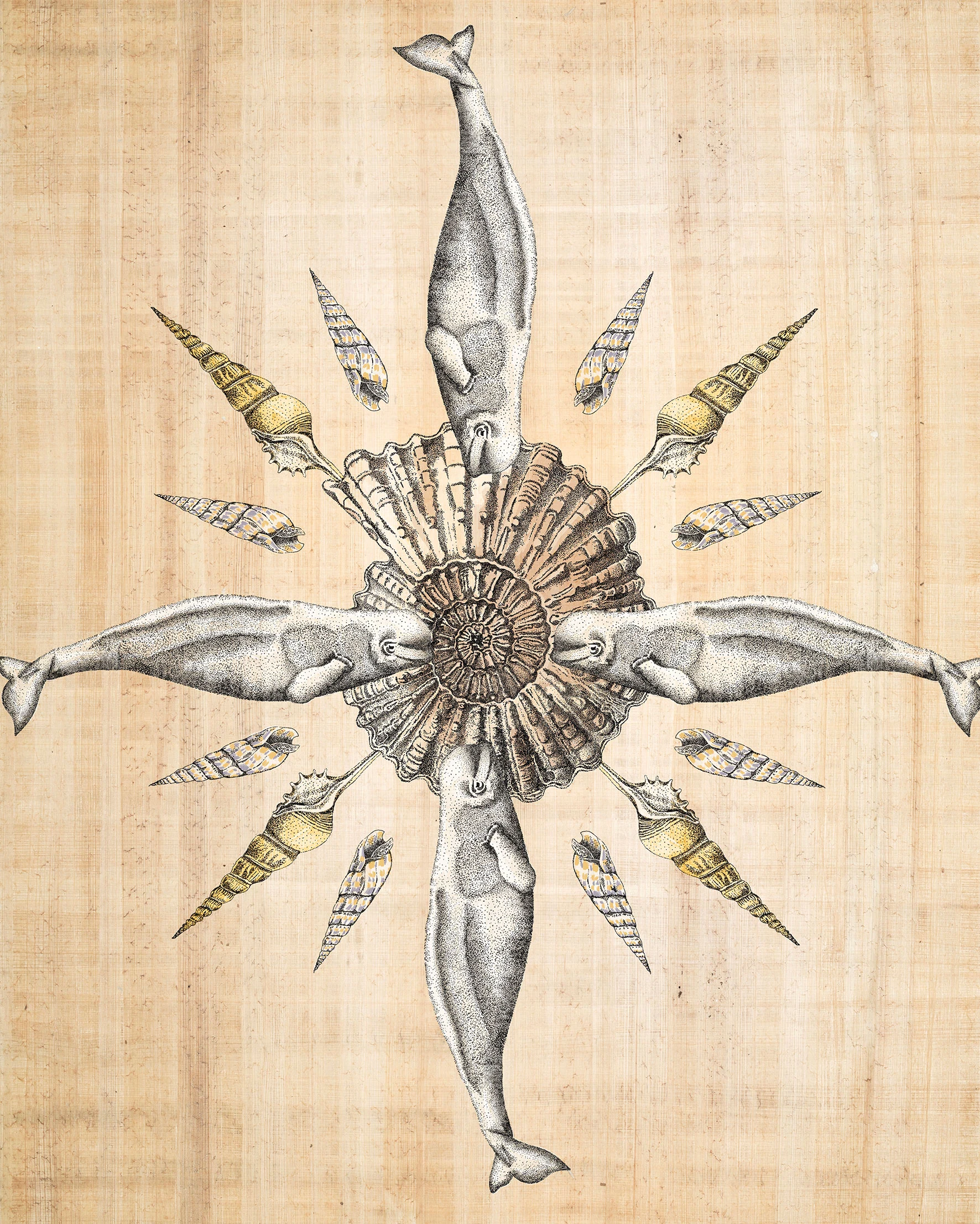 Beluga whale mandala