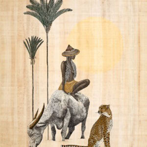 african white bull limited edition print