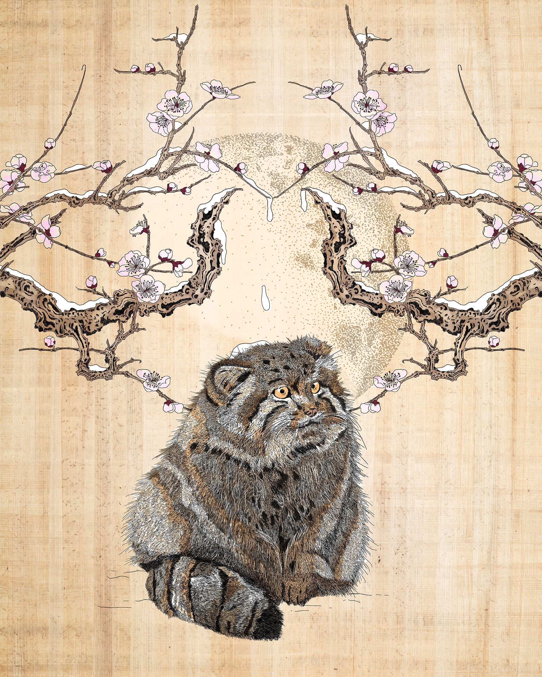 Pallas cat under peach tree